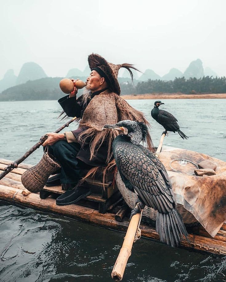 señor pescador con cormoranes, yunnan china